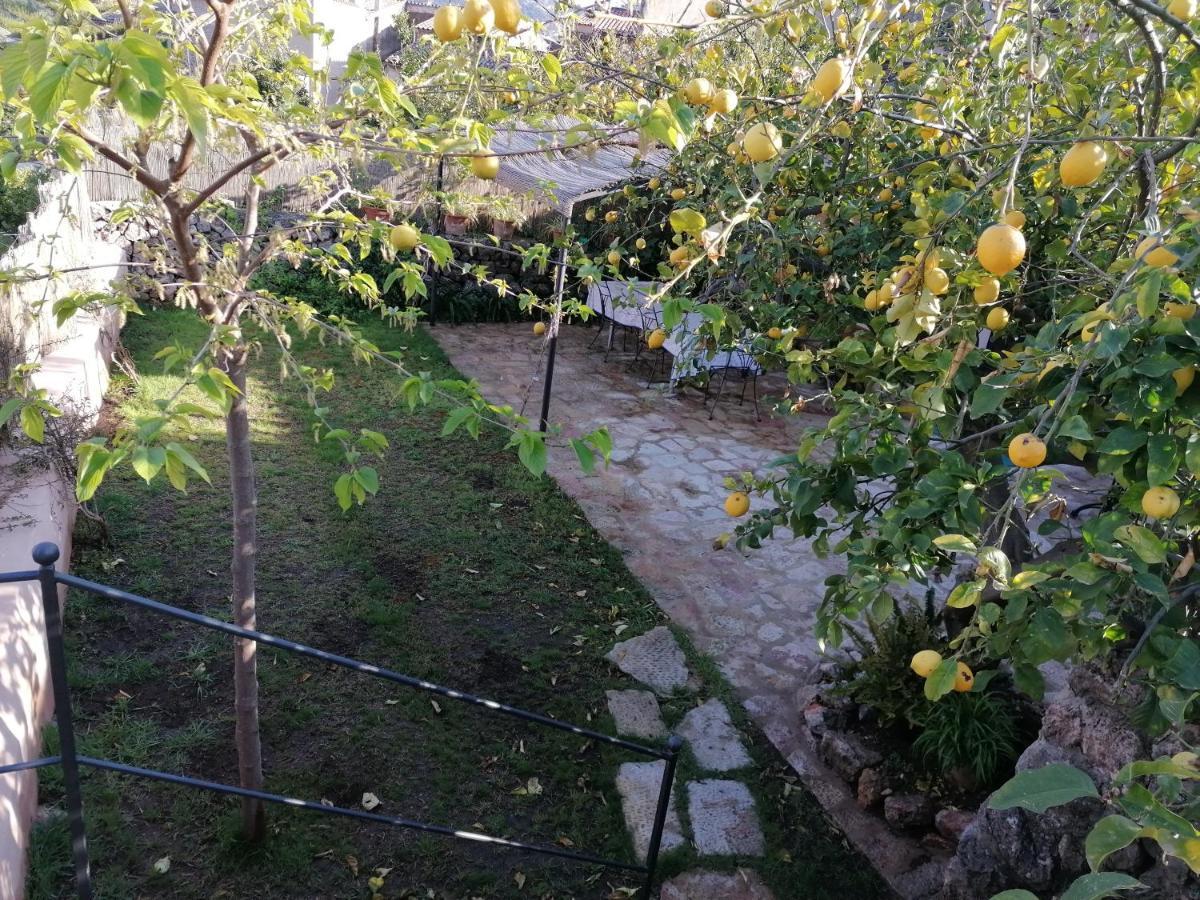 Filoses 18A Valldemossa  Zewnętrze zdjęcie